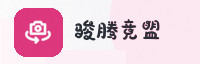 合作伙伴